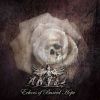 Download track Dawn On The Ashes Of Our Senses