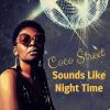 Download track Sounds Like Night Time (Instrumental)