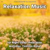 Download track Inimitable Meditation