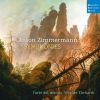 Download track Symphony In C Minor - II. Allegrissimo