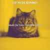 Download track Wondrous Backdrops For Cute Cats