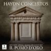 Download track Piano Concerto In D Major, Hob. XVIII, II: I. Vivace