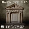 Download track Piano Concerto In G Major. Hob. XVIII, 4: I. Allegro