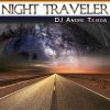 Download track Night Traveler (Radio Mix)