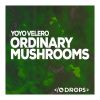 Download track Magic Mushrooms (Original Mix)