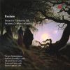 Download track Quintet For Piano, 2 Violins, Viola And Cello In F Minor, Op. 34 II. Andante - Un Poco Adagio