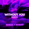 Download track Without You (DESMIND Beats Reborn Remix)