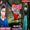 Download track Ab Kahe Badal Gaiyal