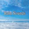 Download track Rainy Mood