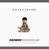 Download track Dziwny Niemowlak (Remix)