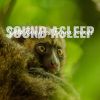 Download track Deep Rainforest Fauna Sounds, Pt. 5