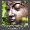 Download track Tambores Tribales Para Meditar Profundamente