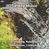 Download track Serene Music, Pt. 47