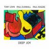 Download track Deep Joy