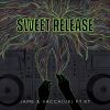 Download track Sweet Release (Phelco Remix)