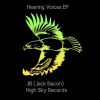 Download track Hearing Voices (Original Mix)