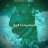 Download track Cool Music For Sleeping Dogs