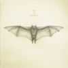 Download track White Bat