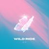 Download track Wild Ride