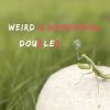 Download track Weird And Wonderful