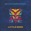 Download track Little Bird (Radio Edit)