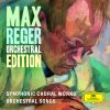 Download track Reger: 4 Lieder, Op. 97-1. Das Dorf