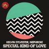 Download track Special Kind Of Love (Luyo Beltane Remix)