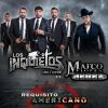 Download track Requisito Americano (Marco Flores Y La Numero 1 Banda Jerez)