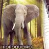 Download track Fofoqueiro