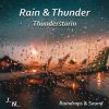 Download track Rain And Thunder In Chicago