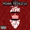 Download track Minha Princesa