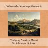 Download track Salzburg Symphony No. 3 In F Major, K. 138 III. Presto