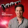 Download track Lanterns (The Voice 2013 Performance)