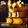 Download track Destiny (Extended Mix)