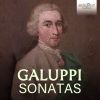 Download track Harpsichord Sonatas, Op. 1, Sonata No. 1 In C Major: II. Allegro