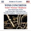 Download track Flute Concerto III. Presto Giocoso