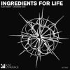 Download track Ingredients For Life (Cosmithex Remix)