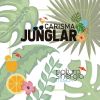 Download track Jungla Metrópoli (Original Mix)