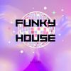 Download track Funky House