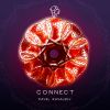 Download track Connect (Extended Mix)