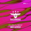 Download track Hey Gypsy (Extended Mix)