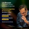 Download track Concerto Grosso: II. El Llano Tranquilo