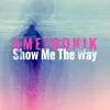 Download track Show Me The Way