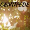 Download track Centipede / Tribute To Childish Gambino (Instrumental Version)