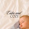 Download track Baby Sleep Songs