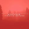 Download track Montagem Financia Botada - Speed Up