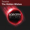 Download track The Hidden Wishes (Mariano Ballejos Remix)