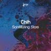 Download track Scintillating Stars (Original Mix)