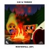 Download track Winterfall