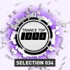 Download track Surrender (Protoculture Radio Edit)